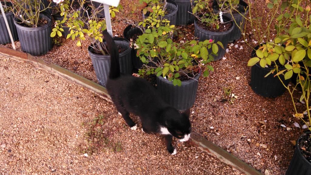  photo IMG_20140924_101233_208.jpg